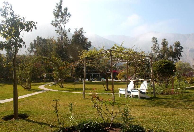 Отель Los Palomos