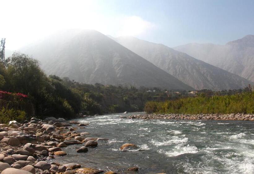 Отель Los Palomos