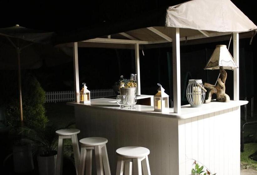 ホテル Presidente Selva