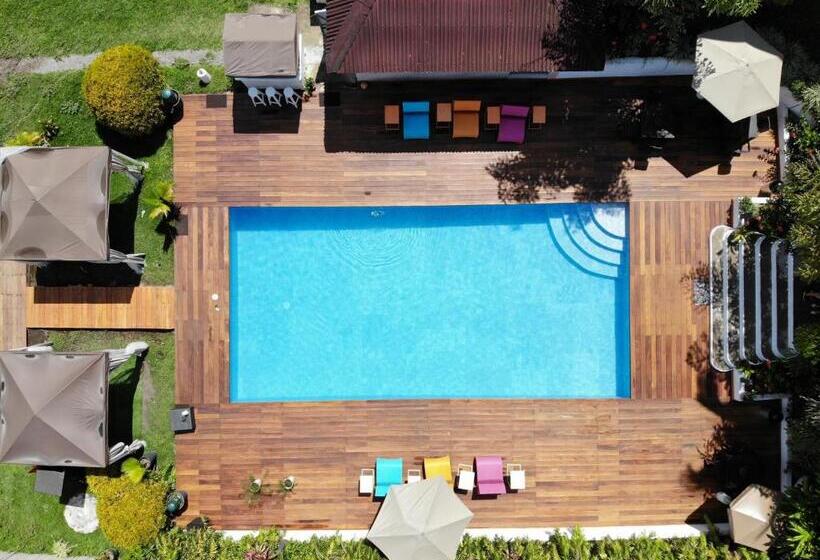 ホテル Presidente Selva