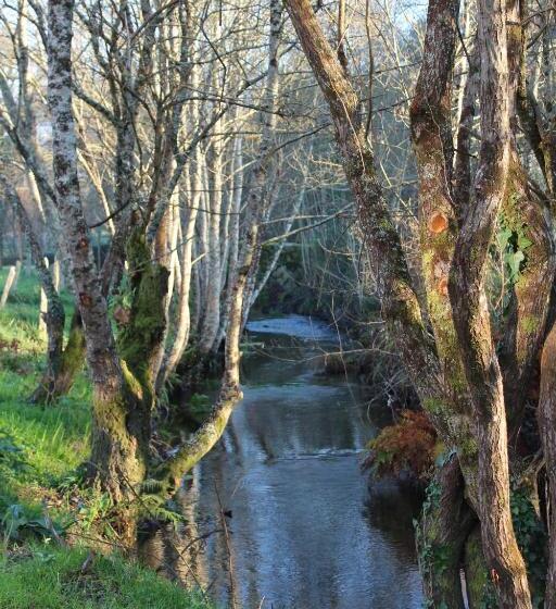 Отель Quinta Do Caminho, Al