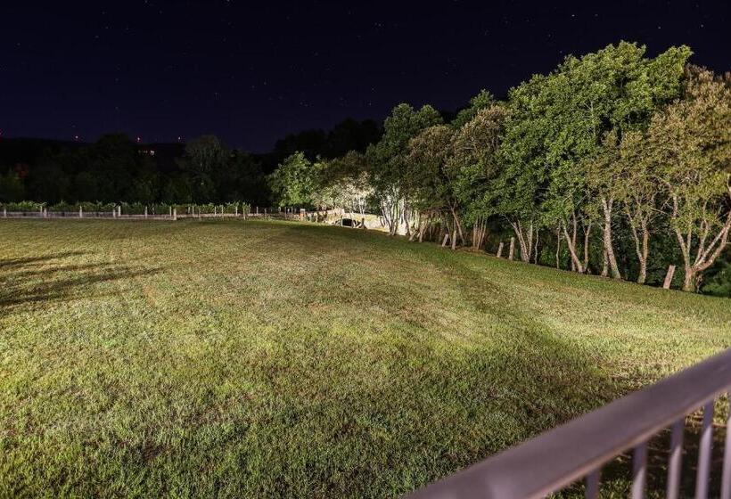 Отель Quinta Do Caminho, Al