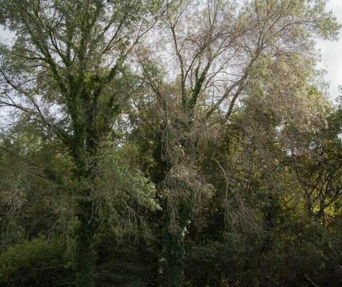 Отель Quinta Do Caminho, Al