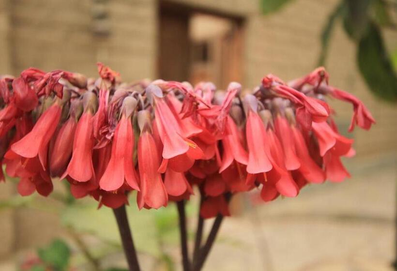 ホテル Refugio De Santiago Ecolodge