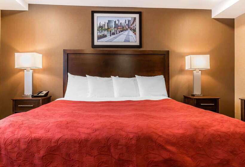 فندق Rodeway Inn Chicago/evanston