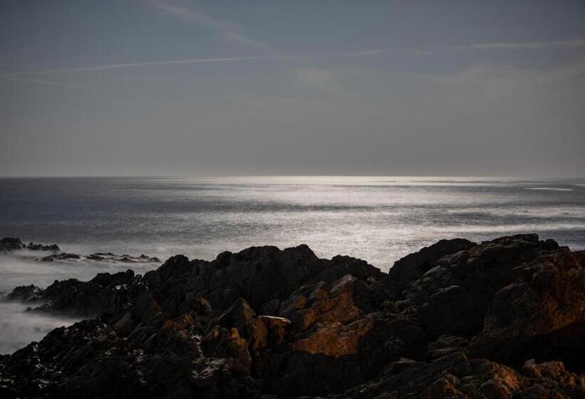 호텔 Sol Ixent Adults Only