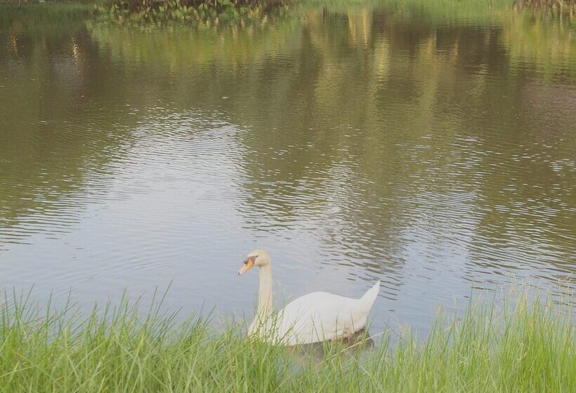 The Touch Green Naiyang Hotel & Fitness