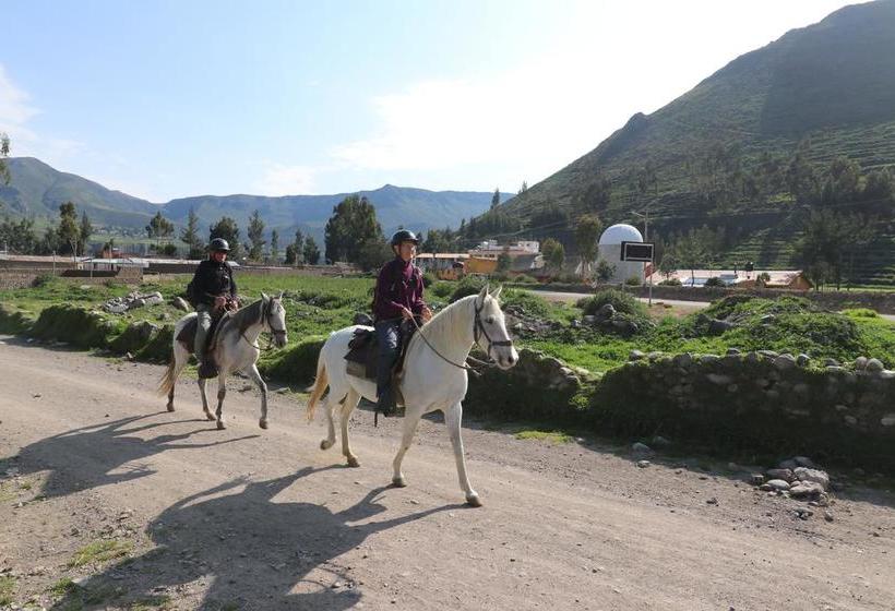 هتل Tradicion Colca