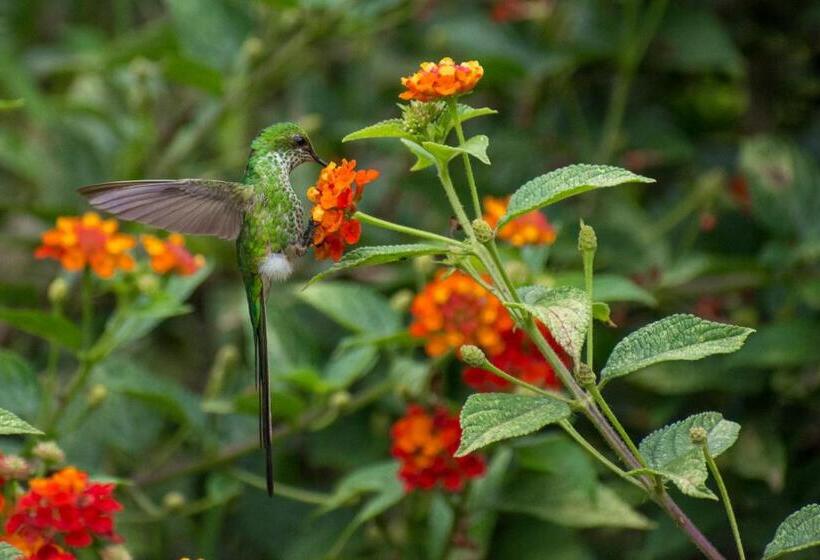 هتل Villa De Paris