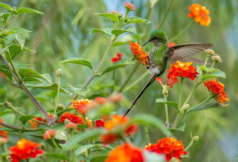 هتل Villa De Paris