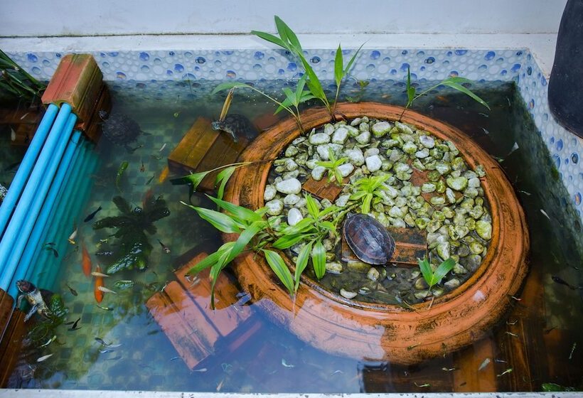 בית מלון כפרי Villa Silk Road