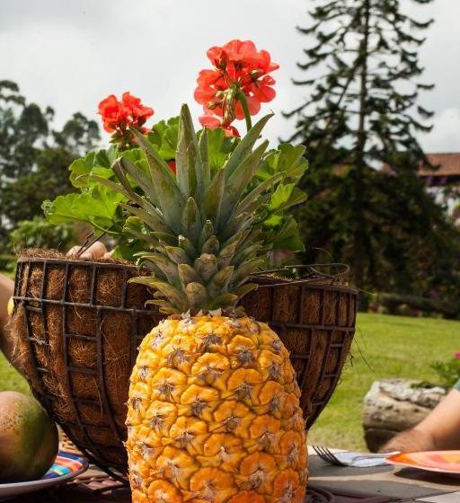 Matisses Hotel & Spa