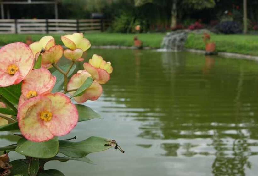 Matisses Hotel & Spa