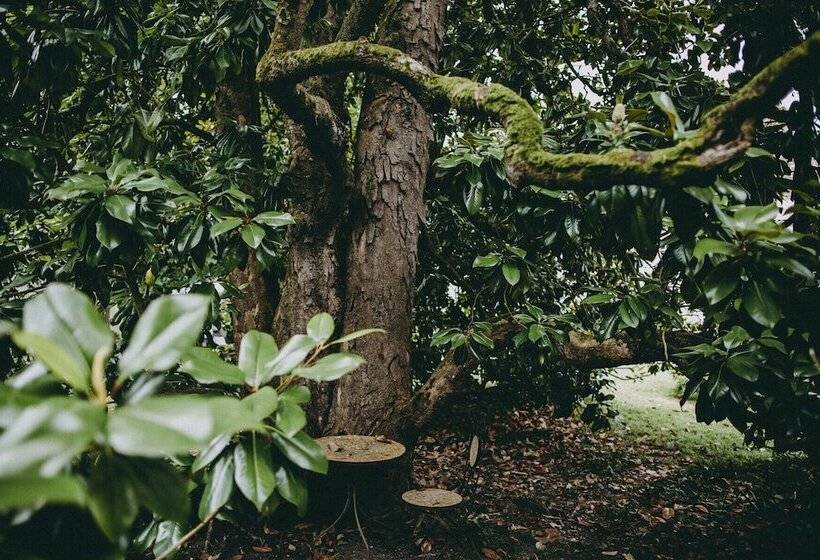 膳宿费 Chateau De Puyrigaud