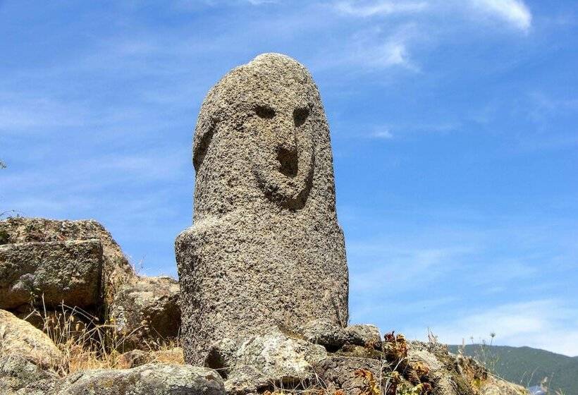 膳宿费 Gîte Du Chalet Pietri