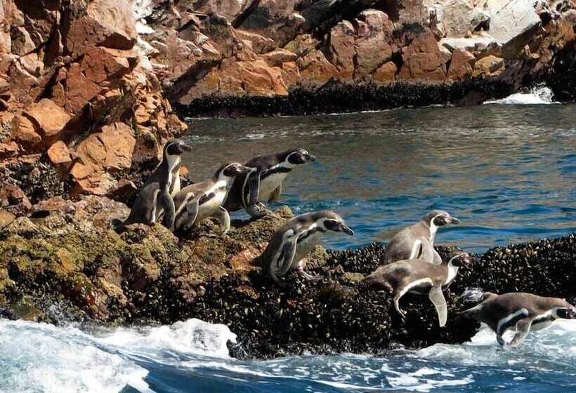 Qala Hotel & Resorts