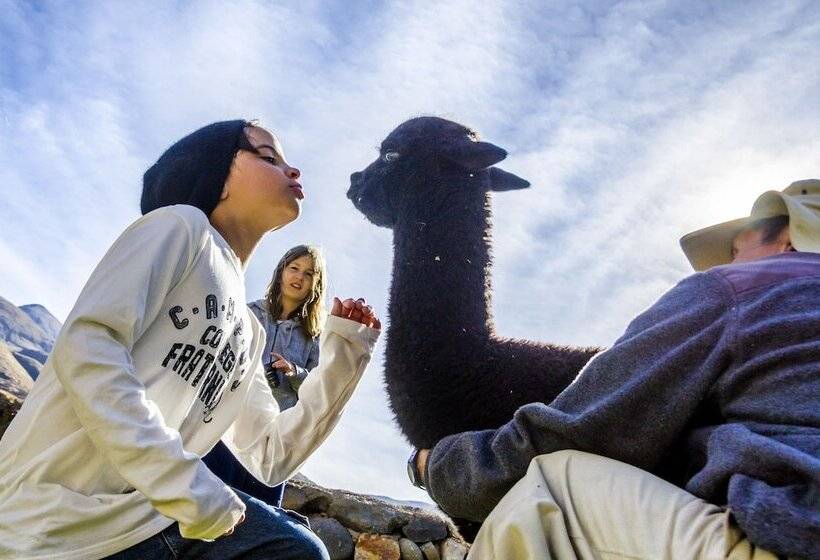 استراحتگاه Colca Lodge Spa & Hot Springs