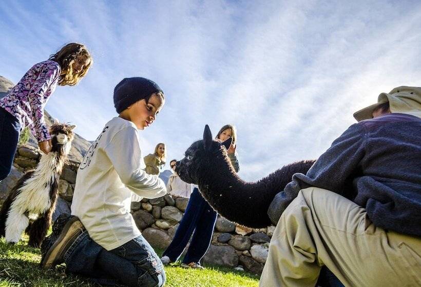 استراحتگاه Colca Lodge Spa & Hot Springs