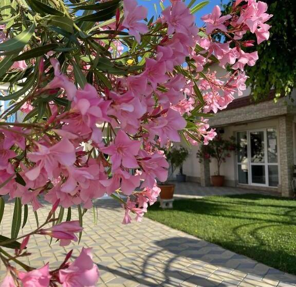 فندق على الطريق Casa Athena