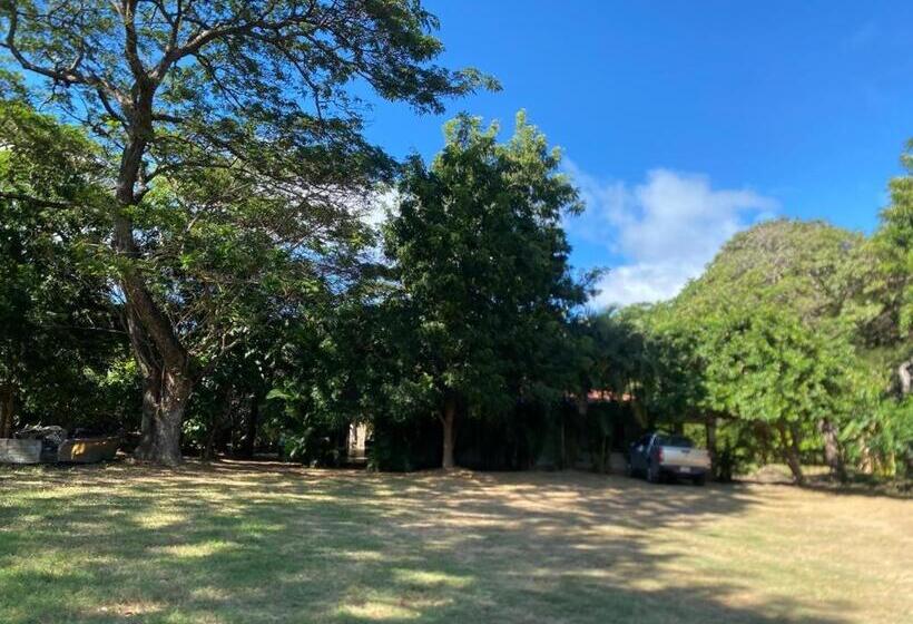 بنسيون Cabinas La Casona Del Pirata