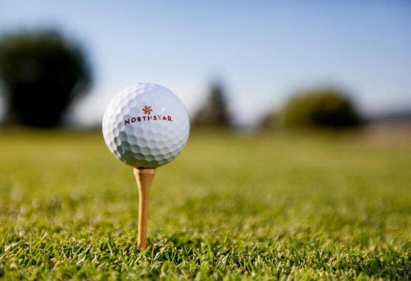 Modern Hotel Style Studio   Timber Creek Lodge #210 Hotel Room