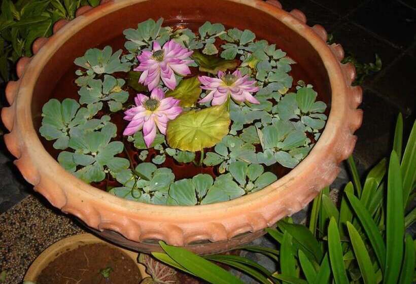 Akinabalu Youth Hostel