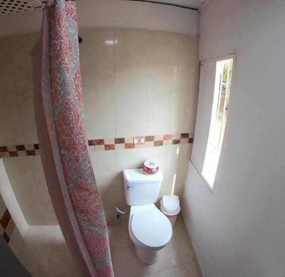 هاستل The Rock House Eco