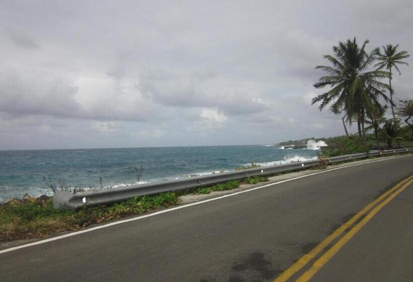 هاستل The Rock House Eco