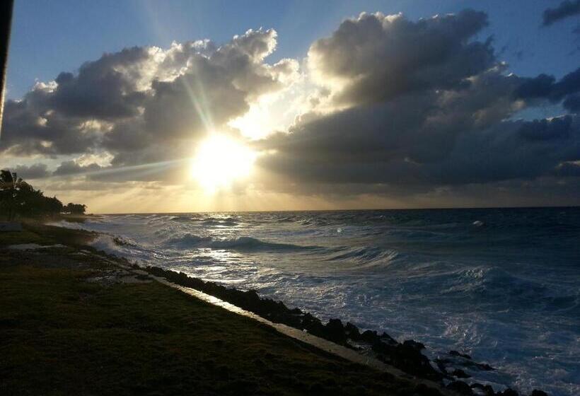 هاستل The Rock House Eco