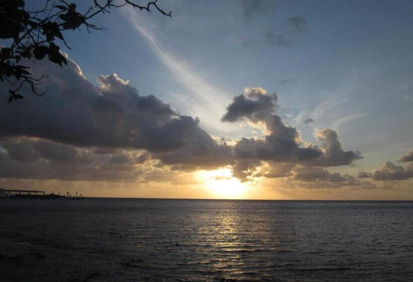 הוסטל The Rock House Eco