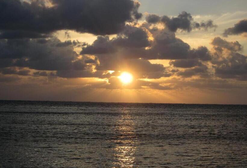 הוסטל The Rock House Eco