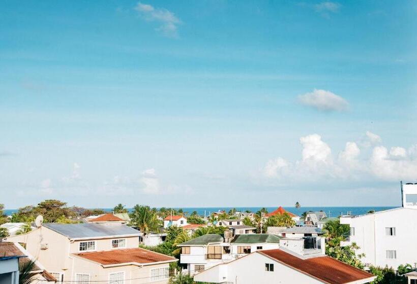 הוסטל The Rock House Eco