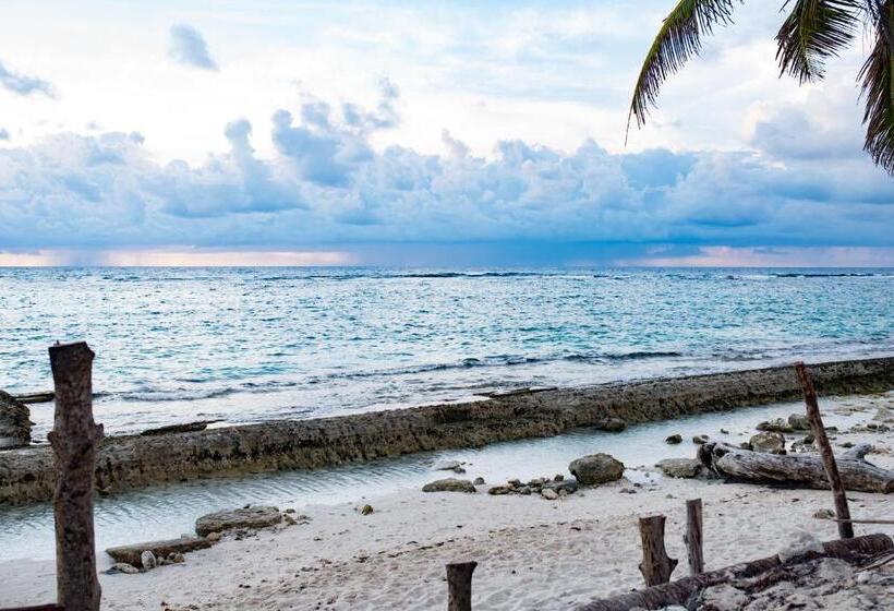 הוסטל The Rock House Eco