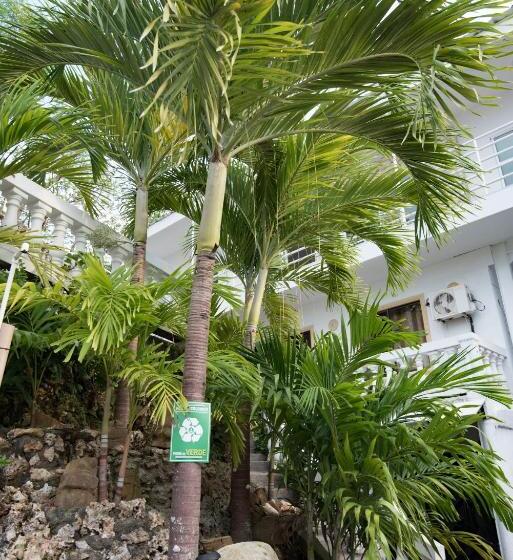 הוסטל The Rock House Eco