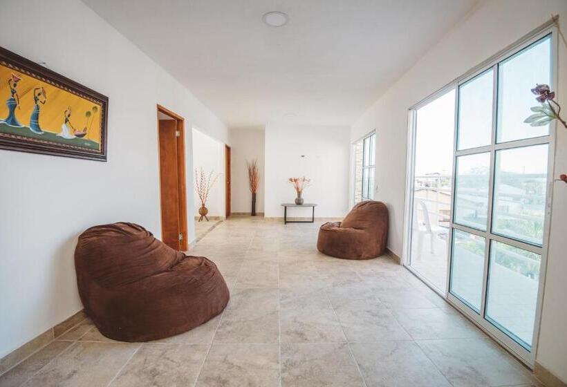 هاستل The Rock House Eco