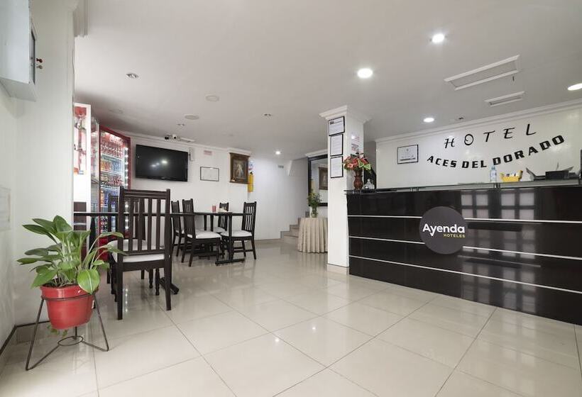 住宿加早餐  Dorado 100