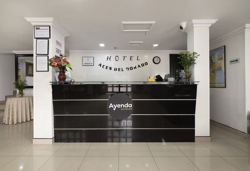 住宿加早餐  Dorado 100