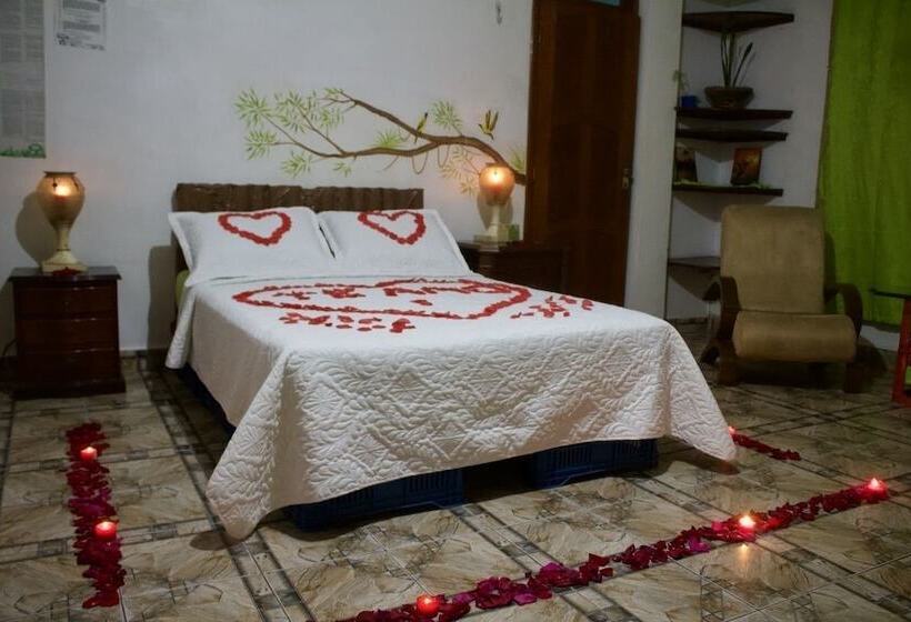 مبيت وإفطار Eco Hotel El Refugio De La Floresta