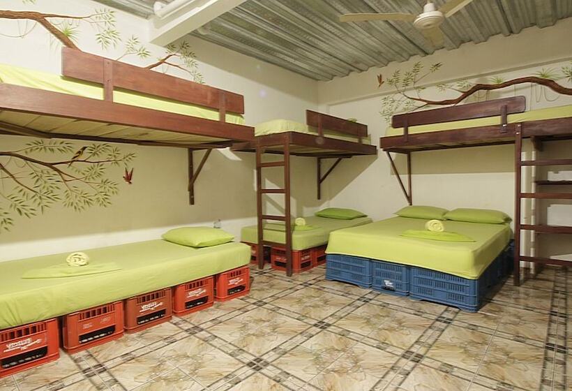 مبيت وإفطار Eco Hotel El Refugio De La Floresta