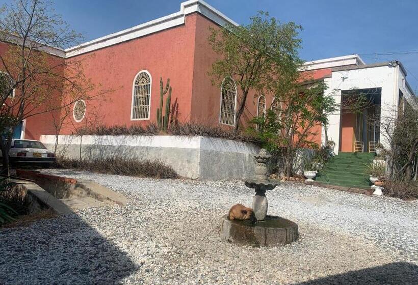 ベッドアンドブレックファースト Jardin Etnobotanico Villa Ludovica