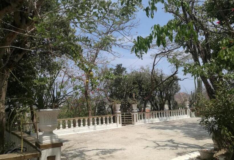 ベッドアンドブレックファースト Jardin Etnobotanico Villa Ludovica