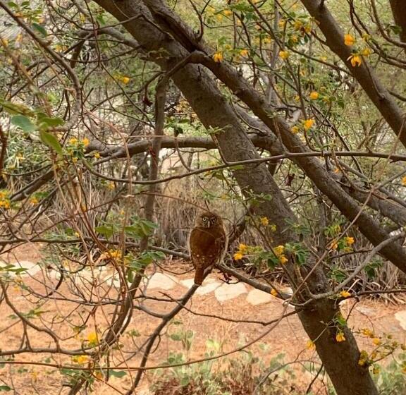 민박 Jardin Etnobotanico Villa Ludovica