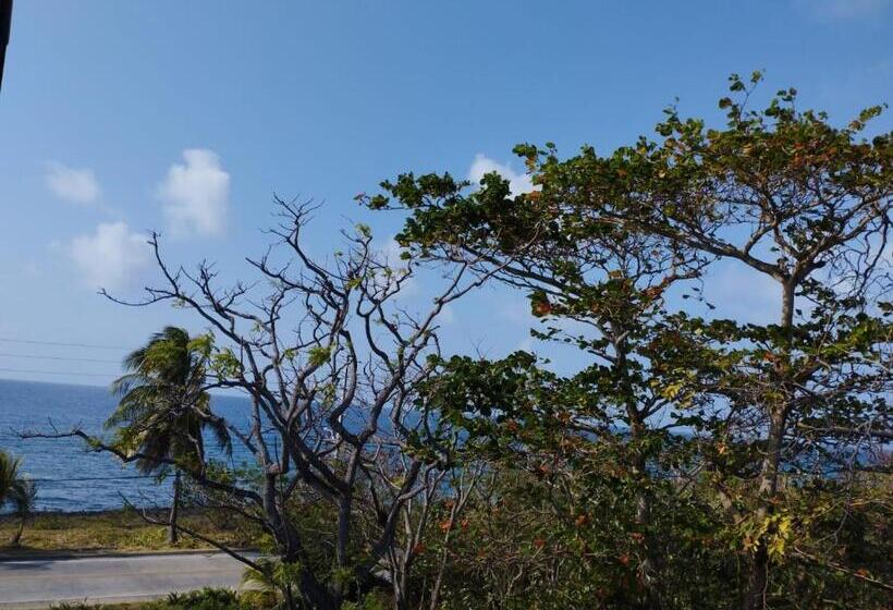 ベッドアンドブレックファースト Sunset Paradise