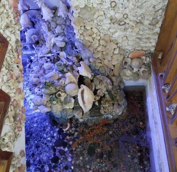 ベッドアンドブレックファースト Sunset Paradise