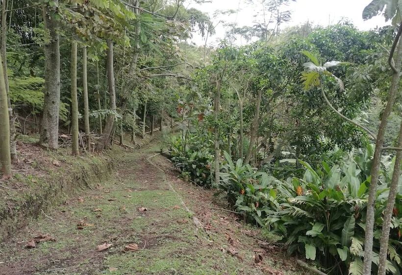 Eco Hotel La Selecta Campestre