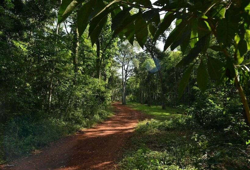 Falls Iguazú Hotel & Spa