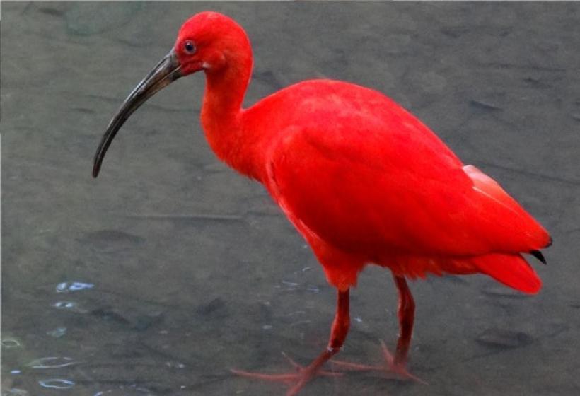 Finca Hotel Villa Martha