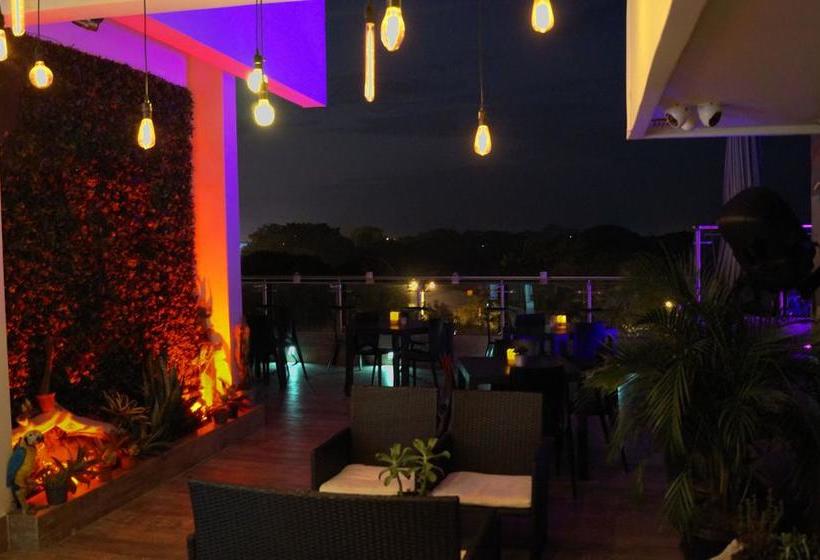 Hausen Hotel   Suites