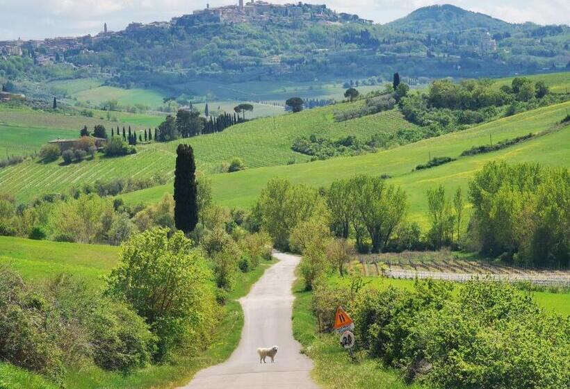 בית מלון כפרי Agriturismo Colle Di Mezzo