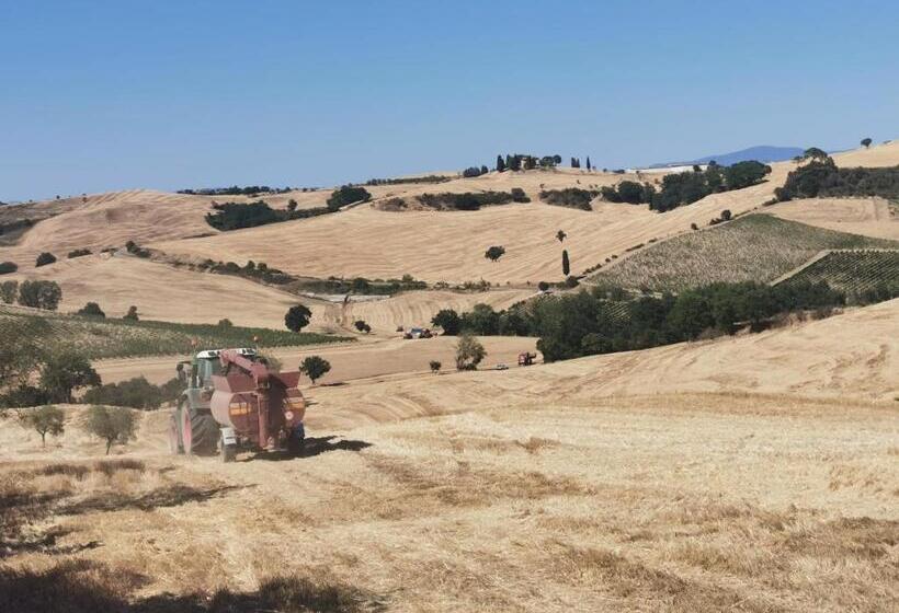בית מלון כפרי Agriturismo Colle Di Mezzo